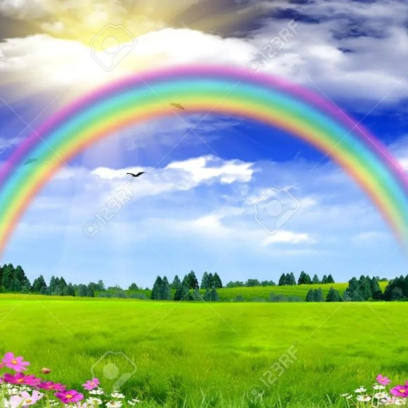 Thanks For Stopping By - Picture 1 of 1